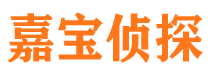 兴业侦探公司